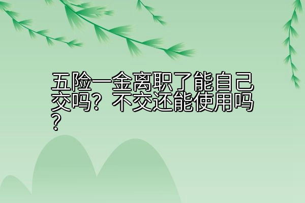 五险一金离职了能自己交吗？不交还能使用吗？