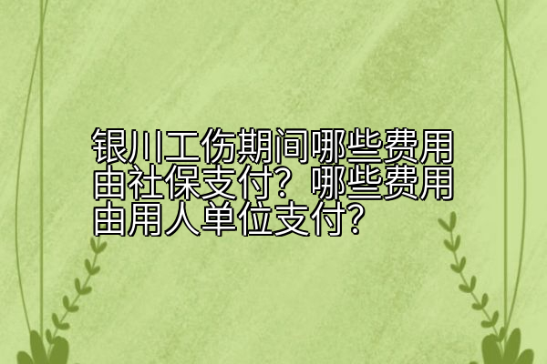 银川工伤期间哪些费用由社保支付？哪些费用由用人单位支付？