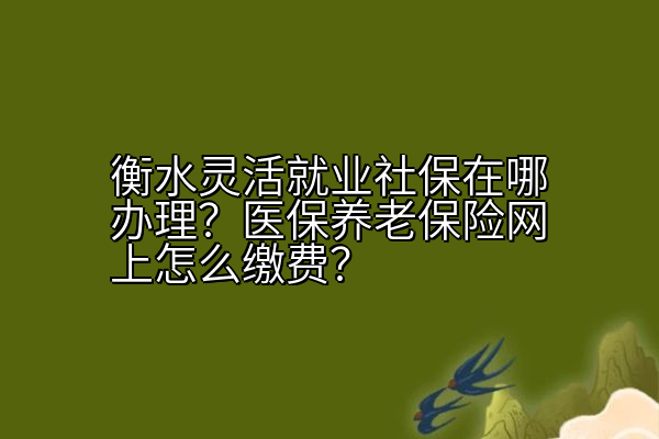 衡水灵活就业社保在哪办理？医保养老保险网上怎么缴费？