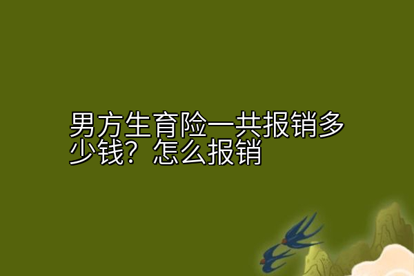 男方生育险一共报销多少钱？怎么报销