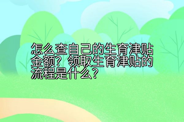 怎么查自己的生育津贴金额？领取生育津贴的流程是什么？
