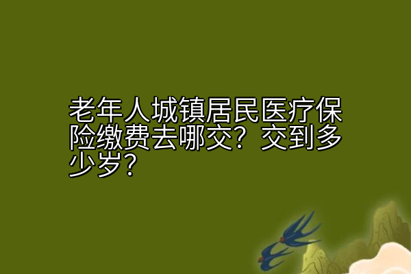 老年人城镇居民医疗保险缴费去哪交？交到多少岁？
