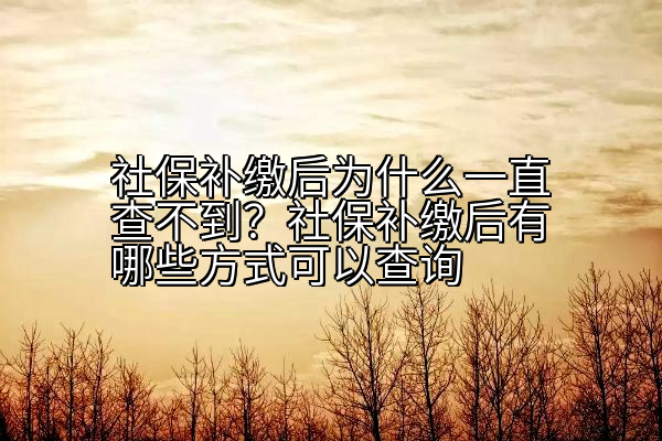 社保补缴后为什么一直查不到？社保补缴后有哪些方式可以查询