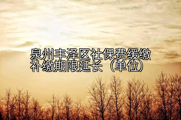 泉州丰泽区社保费缓缴补缴期限延长（单位）