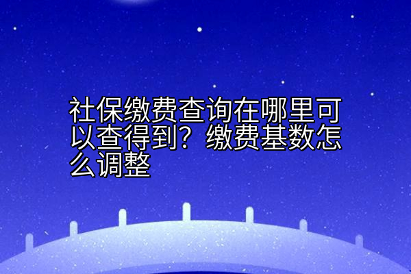 社保缴费查询在哪里可以查得到？缴费基数怎么调整