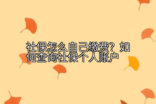 社保怎么自己缴费？如何查询社保个人账户