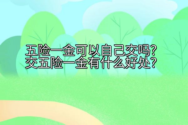 五险一金可以自己交吗？交五险一金有什么好处？