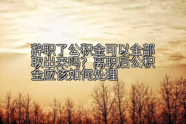 辞职了公积金可以全部取出来吗？离职后公积金应该如何处理