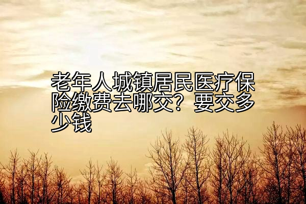 老年人城镇居民医疗保险缴费去哪交？要交多少钱