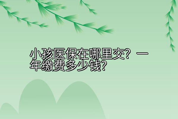 小孩医保在哪里交？一年缴费多少钱？