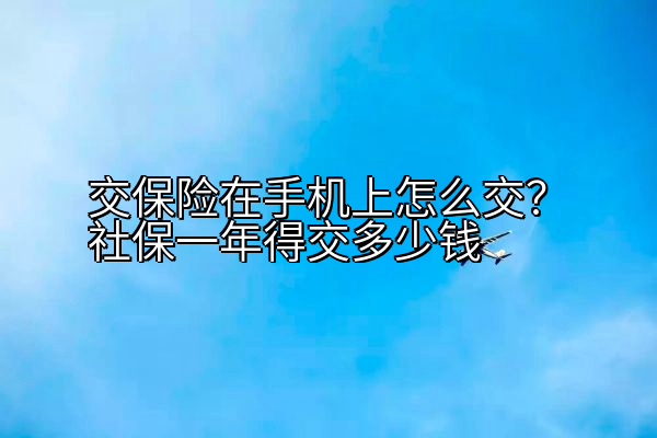 交保险在手机上怎么交？社保一年得交多少钱