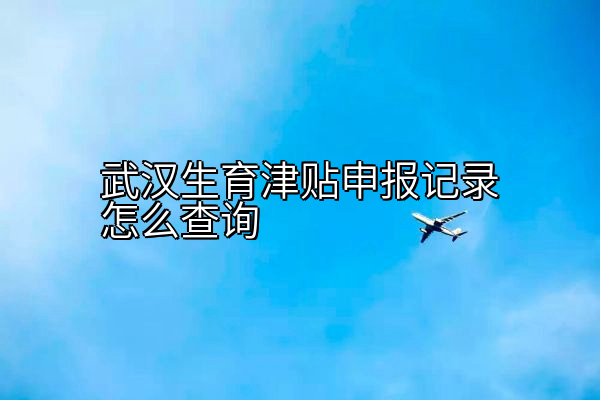 武汉生育津贴申报记录怎么查询