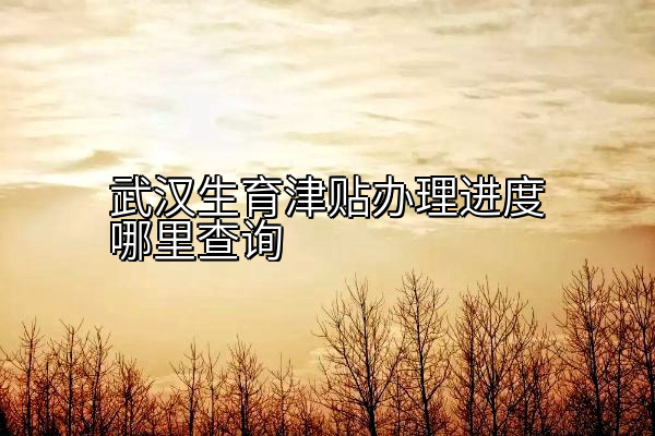 武汉生育津贴办理进度哪里查询