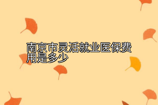 南京市灵活就业医保费用是多少