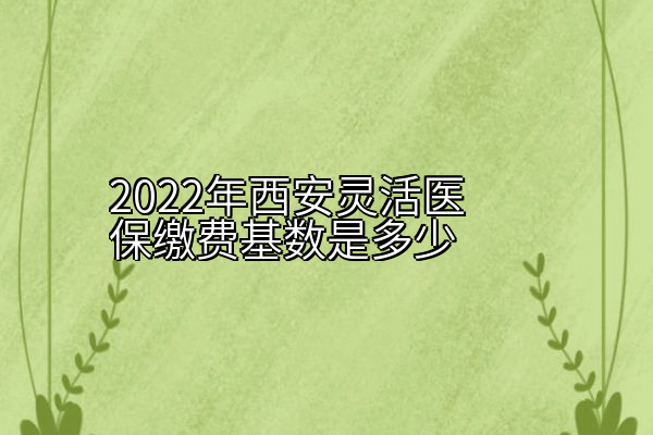2022年西安灵活医保缴费基数是多少
