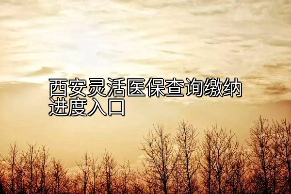 西安灵活医保查询缴纳进度入口