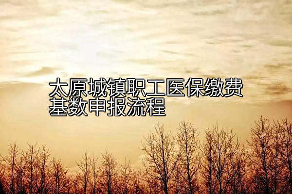 太原城镇职工医保缴费基数申报流程