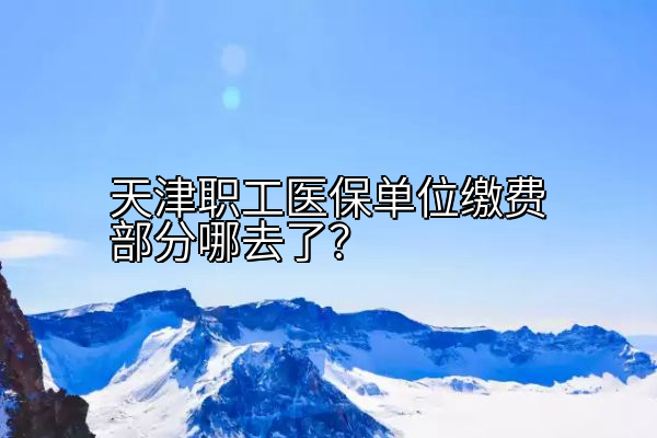 天津职工医保单位缴费部分哪去了？