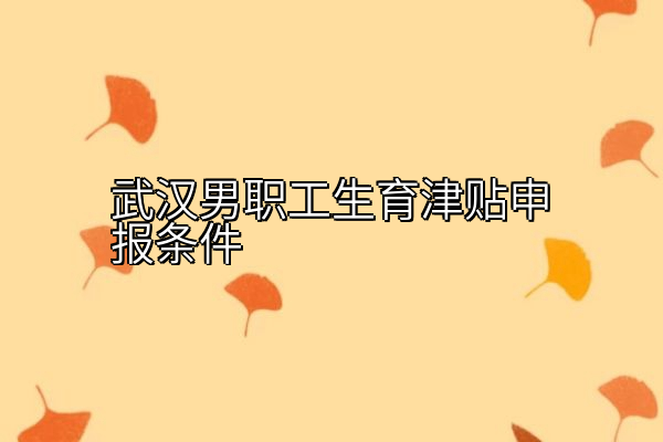 武汉男职工生育津贴申报条件