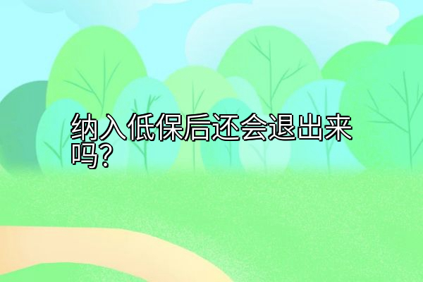 纳入低保后还会退出来吗？