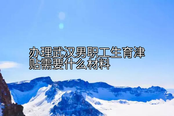 办理武汉男职工生育津贴需要什么材料