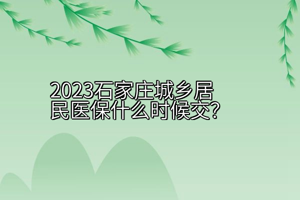 2023石家庄城乡居民医保什么时候交？