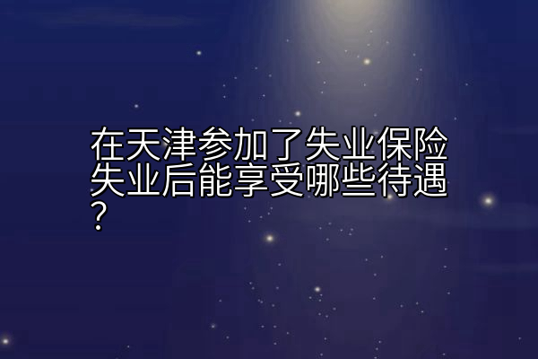 在天津参加了失业保险失业后能享受哪些待遇？