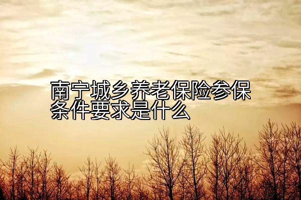 南宁城乡养老保险参保条件要求是什么