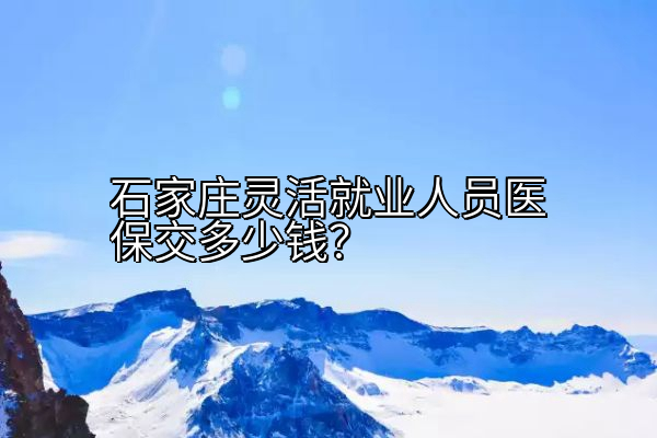 石家庄灵活就业人员医保交多少钱？