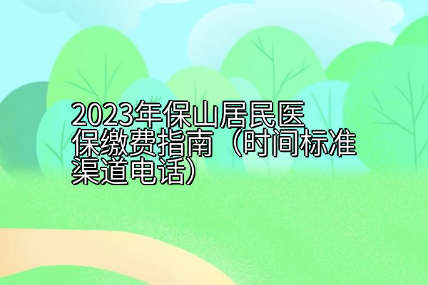 2023年保山居民医保缴费指南（时间标准渠道电话）