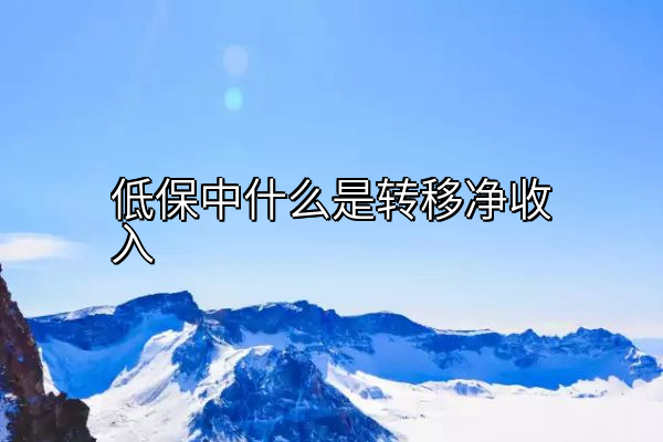 低保中什么是转移净收入