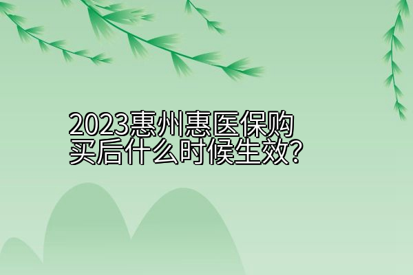 2023惠州惠医保购买后什么时候生效？