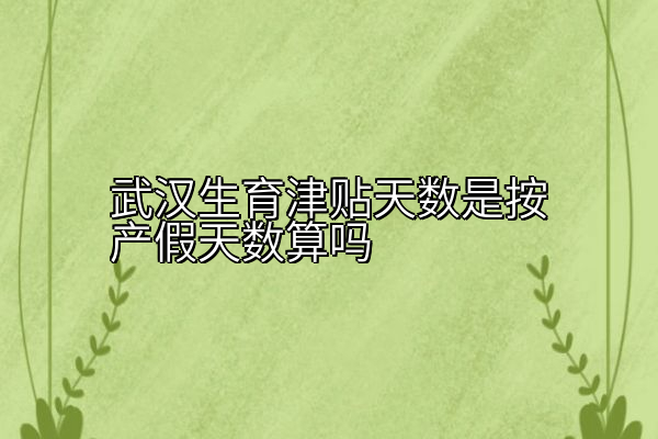 武汉生育津贴天数是按产假天数算吗