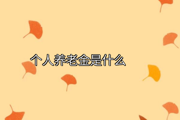 个人养老金是什么