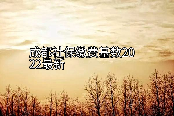 成都社保缴费基数2022最新