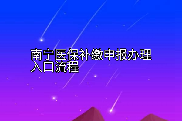 南宁医保补缴申报办理入口流程