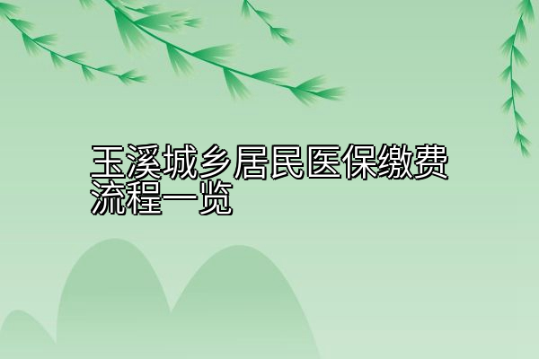 玉溪城乡居民医保缴费流程一览