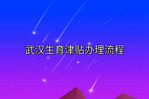 武汉生育津贴办理流程