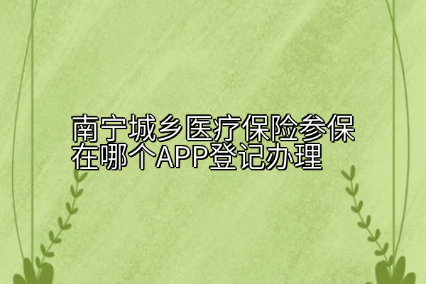 南宁城乡医疗保险参保在哪个APP登记办理