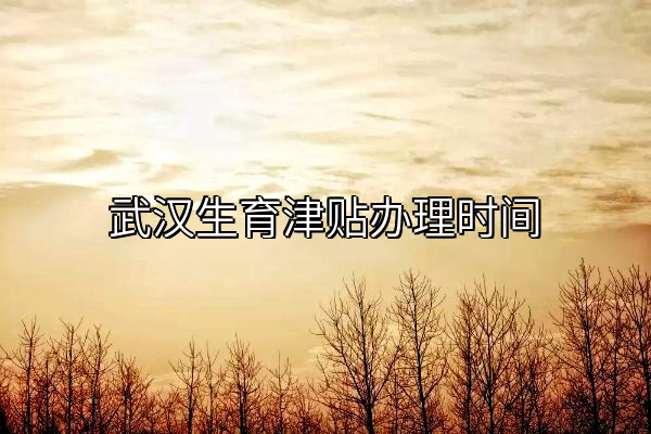 武汉生育津贴办理时间
