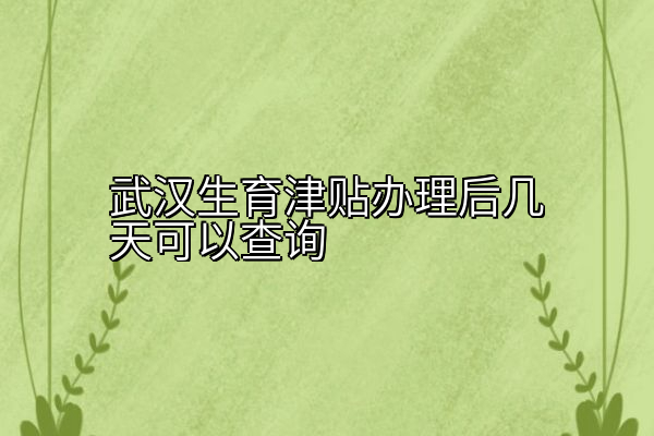 武汉生育津贴办理后几天可以查询