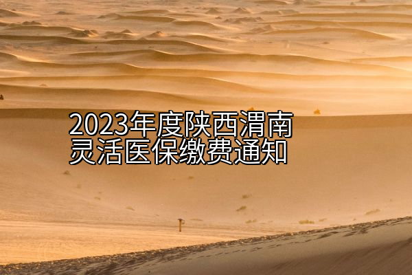2023年度陕西渭南灵活医保缴费通知