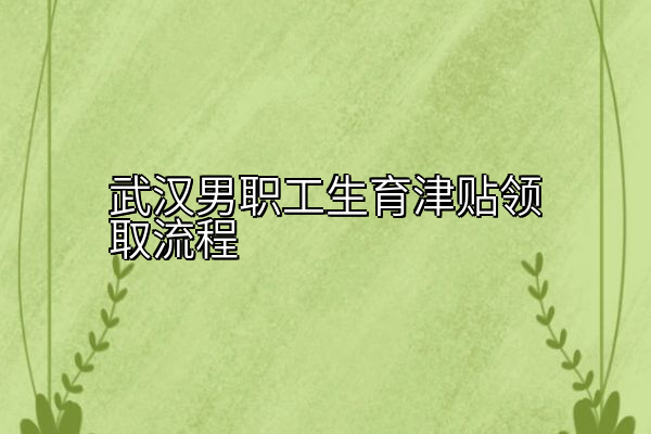 武汉男职工生育津贴领取流程