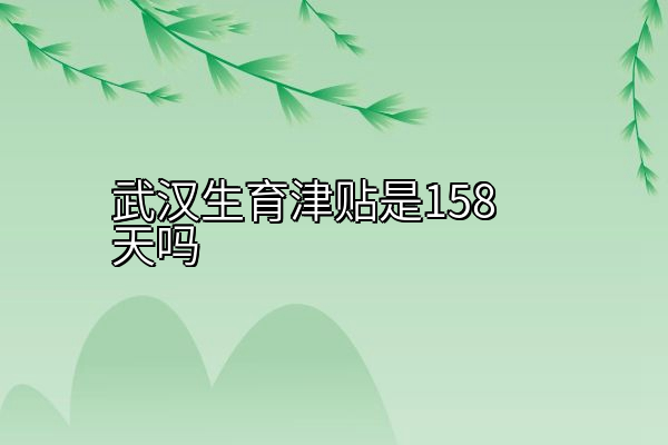 武汉生育津贴是158天吗