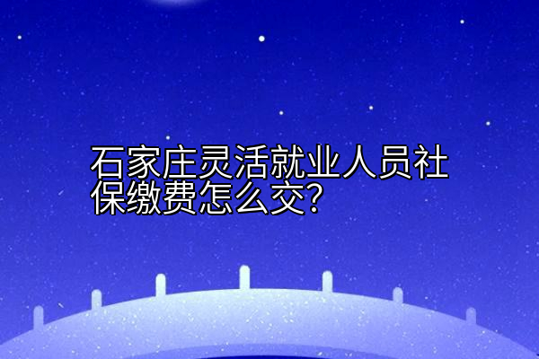 石家庄灵活就业人员社保缴费怎么交？