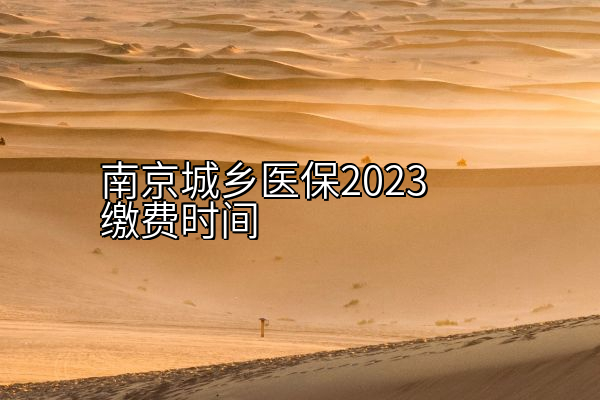 南京城乡医保2023缴费时间