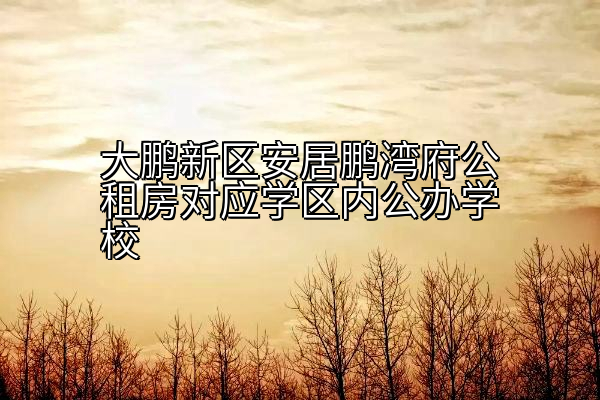 大鹏新区安居鹏湾府公租房对应学区内公办学校