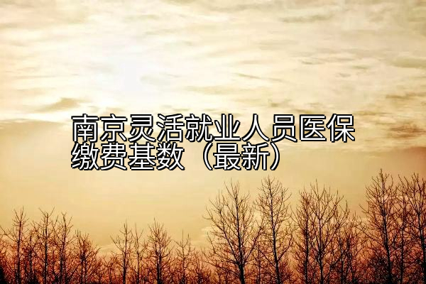 南京灵活就业人员医保缴费基数（最新）
