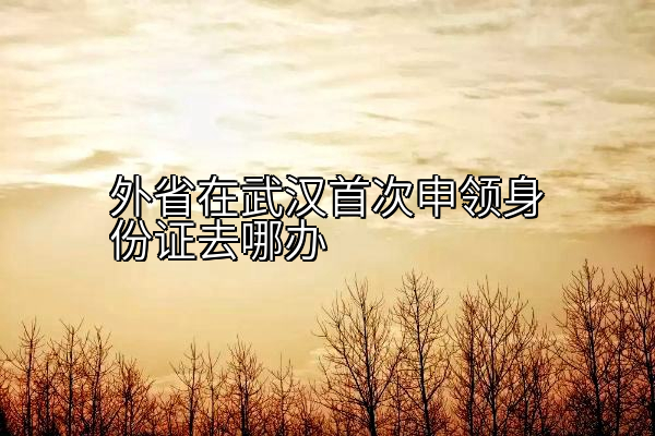 外省在武汉首次申领身份证去哪办