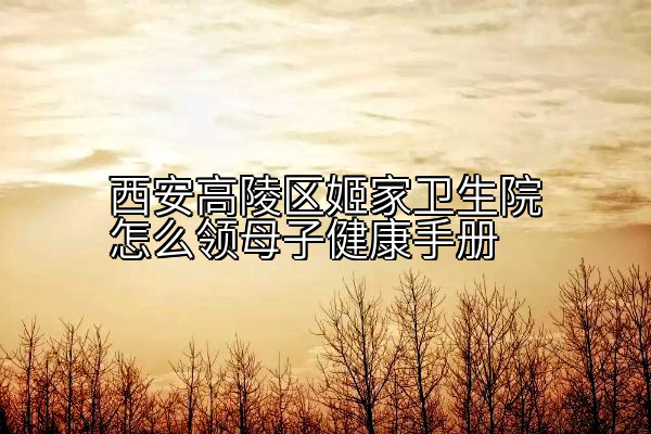 西安高陵区姬家卫生院怎么领母子健康手册